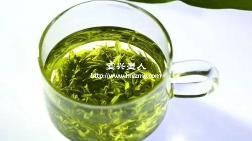 绿茶如何区分新茶和陈茶