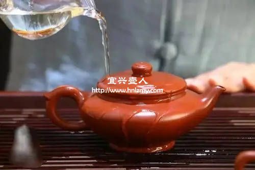 紫砂壶可以用茶水泡着养吗