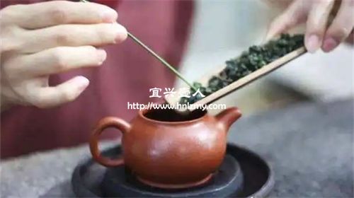 紫砂壶使用多久可以不放茶叶