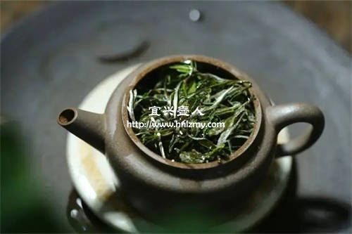 绿茶可以放在紫砂壶中冲泡吗