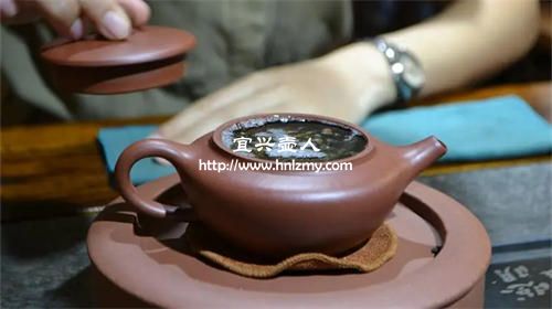白茶和生普洱能用一个紫砂壶吗