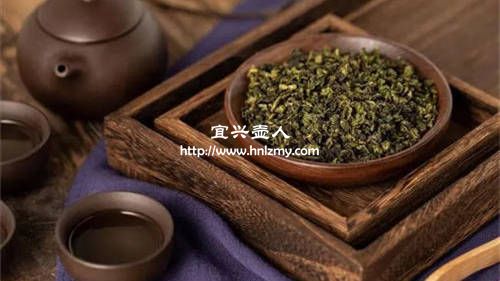 紫泥和本山绿泥哪个泡乌龙茶好