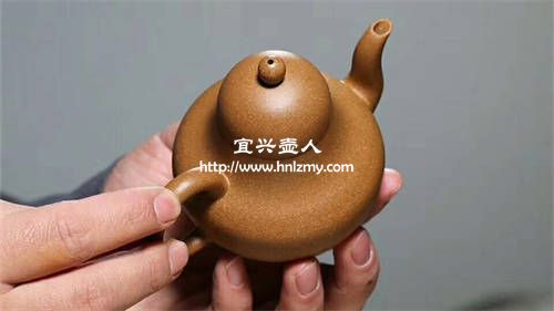 蟹黄段泥万博体育3.0手机版适合泡什么茶 1