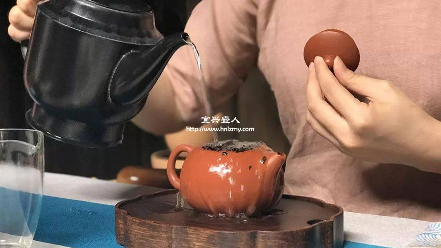 乌龙茶适合用什么紫砂壶冲泡