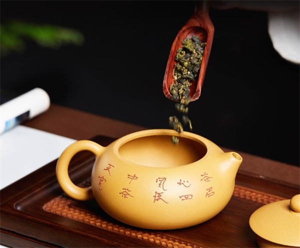 紫砂壶开壶用哪种龙井茶