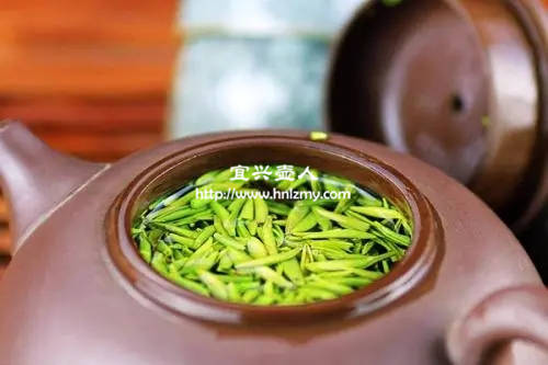 绿茶可以放在紫砂壶中冲泡吗