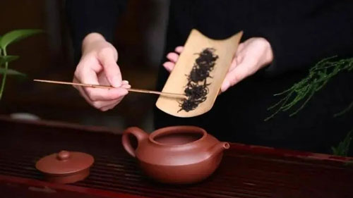 紫砂壶投放普洱茶的正确动作